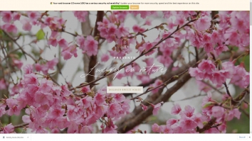 breezehouse.co.uk screenshot 2025-06-25 23:47:52