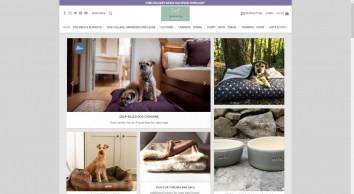 thestylishdogcompany.com screenshot 2019-11-08 02:29:17