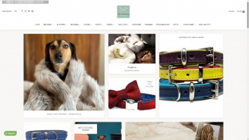 thestylishdogcompany.com screenshot 2024-02-26 07:27:09