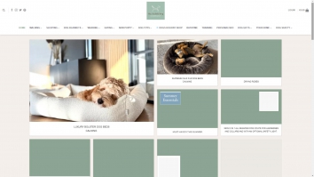 thestylishdogcompany.com screenshot 2025-10-26 14:31:38