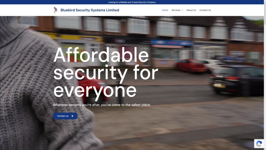 bluebirdsecurity.co.uk SHOT 2026-05-30 23:32:45