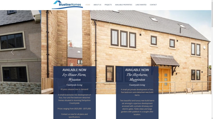 Screenshot of Blueline Homes website