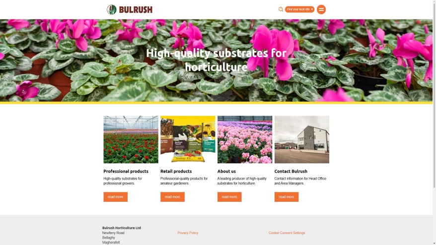 bulrush.co.uk SHOT 2026-08-15 04:56:05