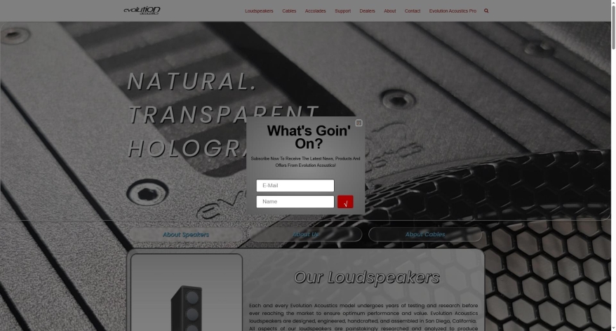 evolutionacoustics.com SHOT 2026-10-18 00:52:49