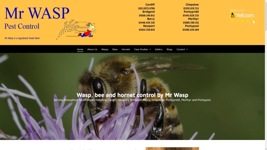 Mr Wasp mrwasp.co.uk SHOT 2026-06-09 22:03:55 mrwasp.co.uk SHOT 2026-06-09 22:03:55