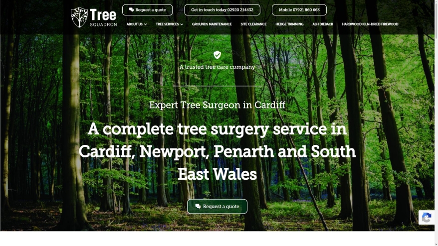 treesquadron.co.uk SHOT 2026-05-14 20:37:11