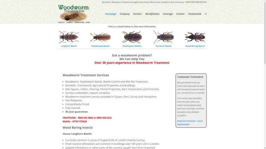Protect Pest Control woodwormtreatments.co.uk SHOT 2026-06-09 19:38:31 woodwormtreatments.co.uk SHOT 2026-06-09 19:38:31
