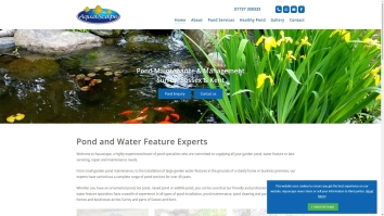 Screenshot of Aquascape website