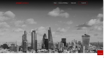 Screenshot of Armada Surveys website