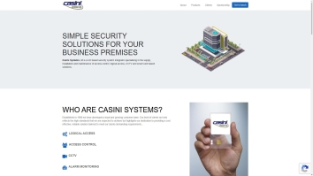 Screenshot of Casini Systems Ltd website