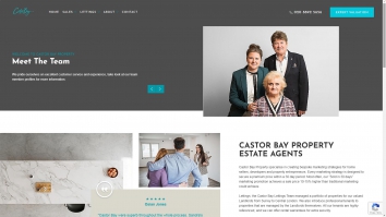 Screenshot of Castor Bay Property Ltd website