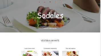Screenshot of Tankerdale website